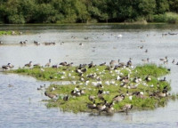 Kingsbury Water Park